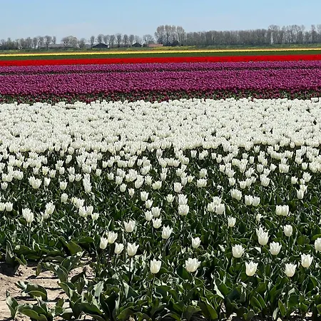 Tiny House Bij Zee Стеллендам