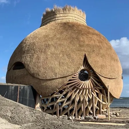 Tiny House Bij Zee 3*