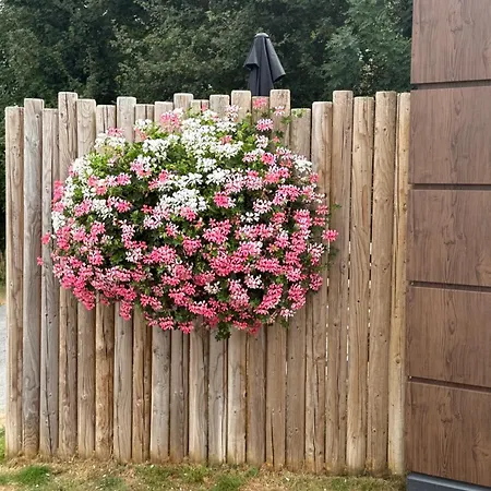 Tiny House Bij Zee 3* Stellendam