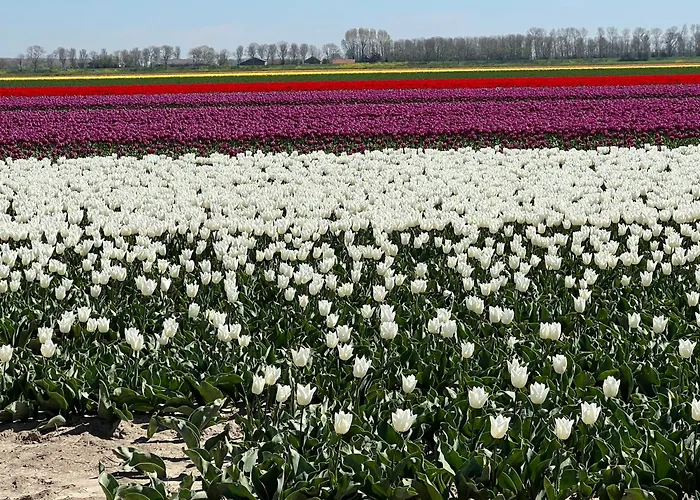 Tiny House Bij Zee ستيليندام