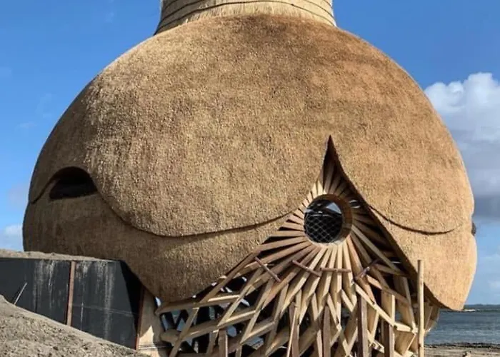 Tiny House Bij Zee 3*