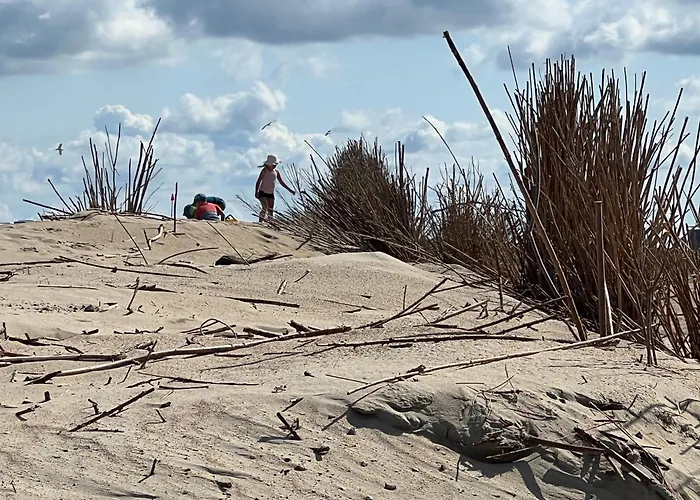 Tiny House Bij Zee 3*