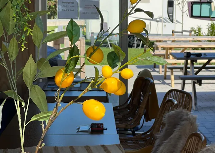 فندق مبيت وإفطار Tiny House Bij Zee 3*