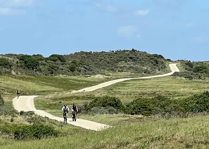 Nocleg ze śniadaniem Tiny House Bij Zee 3*